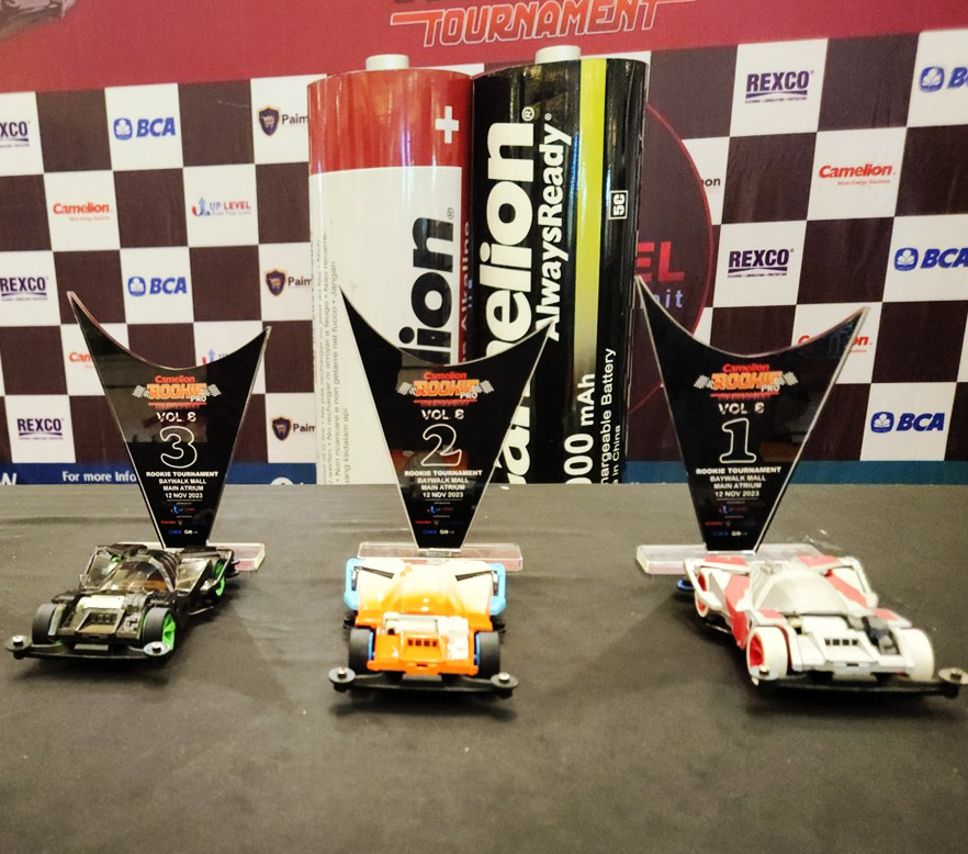 Speelgoedauto Races – Een Viering van Jeugd, Vaardigheid en Vriendschap